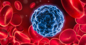 Blood Neoplasia: рак крови использует костный мозг для уклонения от лечения