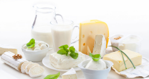 Dairy products are good for intestinal health, study suggests