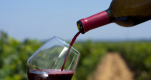El Espa&ntilde;ol: Antioxidants in wine do not improve health
