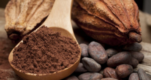 CRFS: The Astringent Taste of Cocoa and Berries Stimulates Brain Function