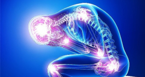 Neurobiology of Pain: Nerve Injuries Disrupt the Immune System