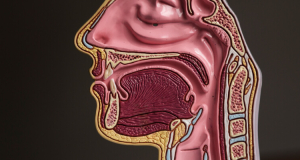 JAMA: плохое обоняние повышает риск развития ишемической болезни сердца