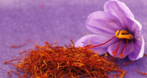 Popular spice may support memory