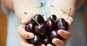 Compounds in Dark Sweet Cherries May Slow Aggressive Breast Cancer
