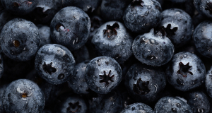 Blueberry Extract May Ease Gestational Diabetes via Gut Microbiota