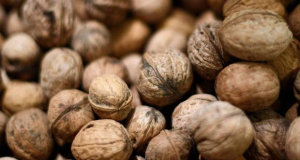F&F: Walnut waste may protect cells from inflammation