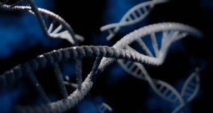 Molecular Cell: Ошибка в хромосомах делает рак более устойчивым и агрессивным