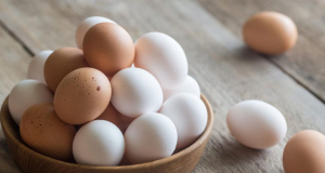 Study: Chicken Eggs May Help Protect the Aging Brain