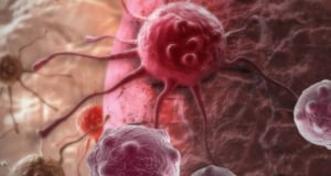 Scientists Identify Immune Cell "Conductors" That Help the Body Fight Cancer