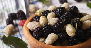 Biomolecules: Mulberries May Alter the Composition of the Gut Microbiota