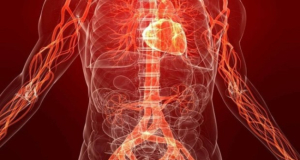 The New England Journal of Medicine: У каждого 13-го внешне здорового молодого человека уже есть признаки атеросклероза