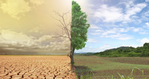 Climate Change Is Increasing Heat Stress for 560 Million Children Every Year