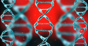 Not Just APOE4: Scientists Identify 44 Genes That May Alter Alzheimer&rsquo;s Risk