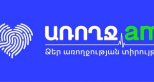 Առաջին կիսամյակի համար բժշկական ծառայությունների գերածախս չի եղել․ ԱՀԱՀ