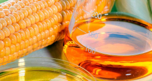 Science Advances: фруктоза меняет кишечник, провоцируя ожирение