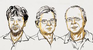 The 2026 Nobel Prize in Physiology or Medicine Recognized a Sequence of Discoveries