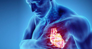 eClinicalMedicine: Воздушные баллоны с лекарством могут стать альтернативой постоянным стентам при лечении сердца