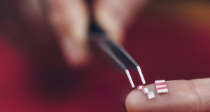 LSD does more than disrupt brain rhythms: It speeds them up and increases signal complexity