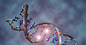 Scientists Use ChatGPT-Like Technology to Assess Stroke Risk From Human DNA