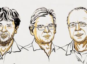 The 2026 Nobel Prize in Physiology or Medicine Recognized a Sequence of Discoveries