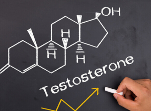 Testosterone Does Not Guarantee Good Health: What a 15-Year Study of Men Revealed